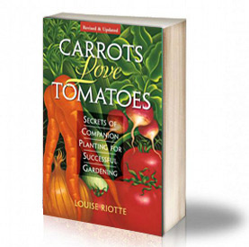 Морковите обичат домати: Тайните на 