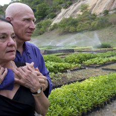 Двойка засажда 2,7 милиона дървета, за да възстанови бразилска гора